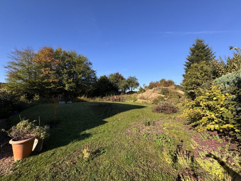 Blick auf das Grundstück